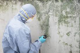  , USA Mold Removal Pros